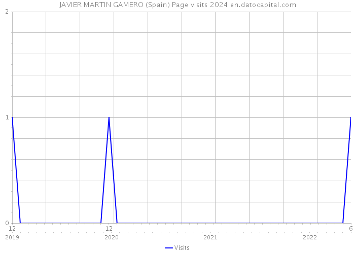 JAVIER MARTIN GAMERO (Spain) Page visits 2024 
