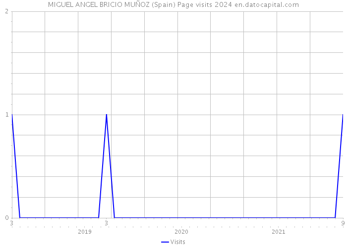 MIGUEL ANGEL BRICIO MUÑOZ (Spain) Page visits 2024 