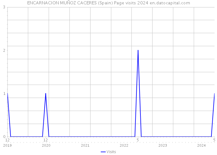 ENCARNACION MUÑOZ CACERES (Spain) Page visits 2024 