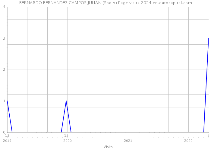 BERNARDO FERNANDEZ CAMPOS JULIAN (Spain) Page visits 2024 