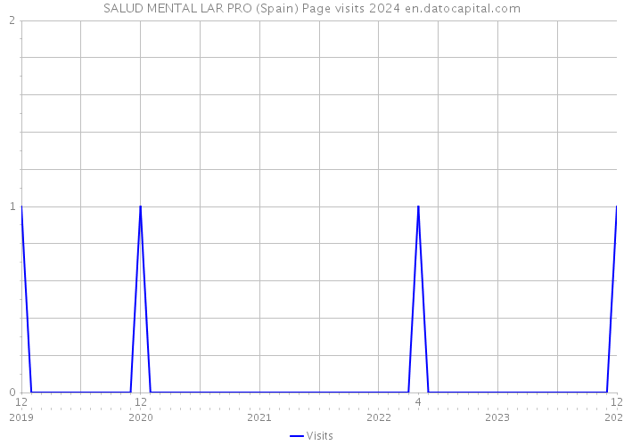 SALUD MENTAL LAR PRO (Spain) Page visits 2024 