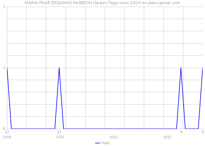 MARIA PILAR ESQUINAS RASERON (Spain) Page visits 2024 