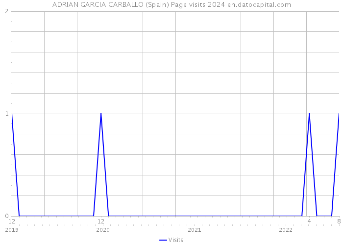 ADRIAN GARCIA CARBALLO (Spain) Page visits 2024 