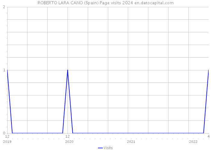 ROBERTO LARA CANO (Spain) Page visits 2024 