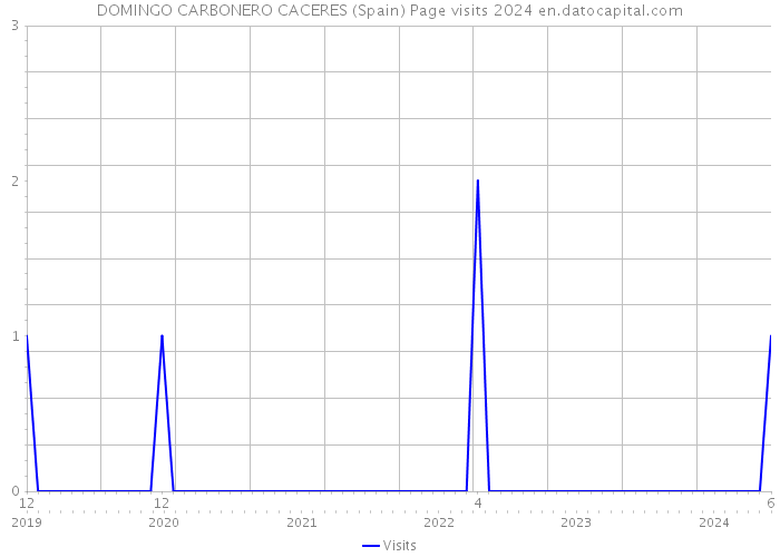 DOMINGO CARBONERO CACERES (Spain) Page visits 2024 