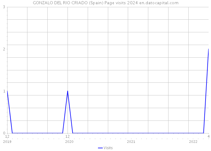 GONZALO DEL RIO CRIADO (Spain) Page visits 2024 
