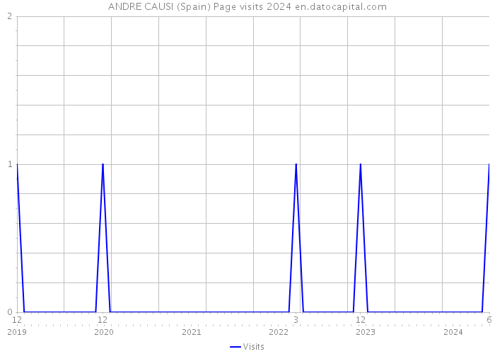 ANDRE CAUSI (Spain) Page visits 2024 