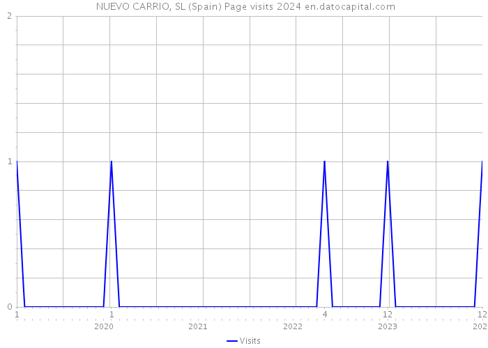  NUEVO CARRIO, SL (Spain) Page visits 2024 
