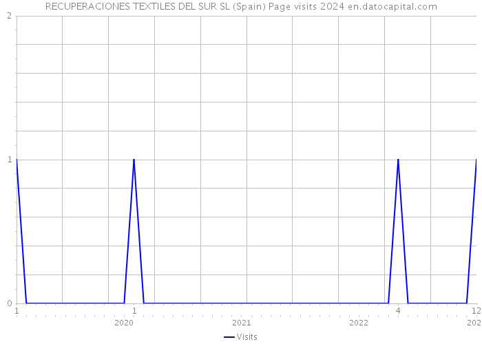 RECUPERACIONES TEXTILES DEL SUR SL (Spain) Page visits 2024 