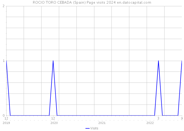 ROCIO TORO CEBADA (Spain) Page visits 2024 