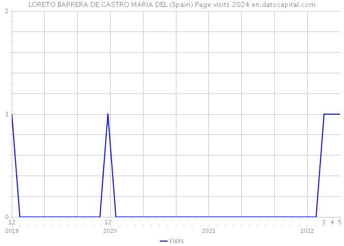 LORETO BARRERA DE CASTRO MARIA DEL (Spain) Page visits 2024 