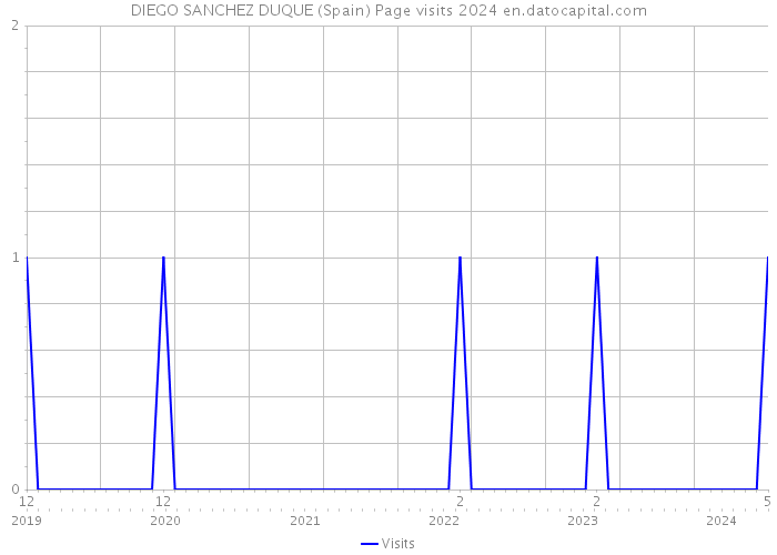 DIEGO SANCHEZ DUQUE (Spain) Page visits 2024 