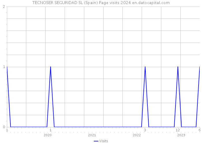 TECNOSER SEGURIDAD SL (Spain) Page visits 2024 