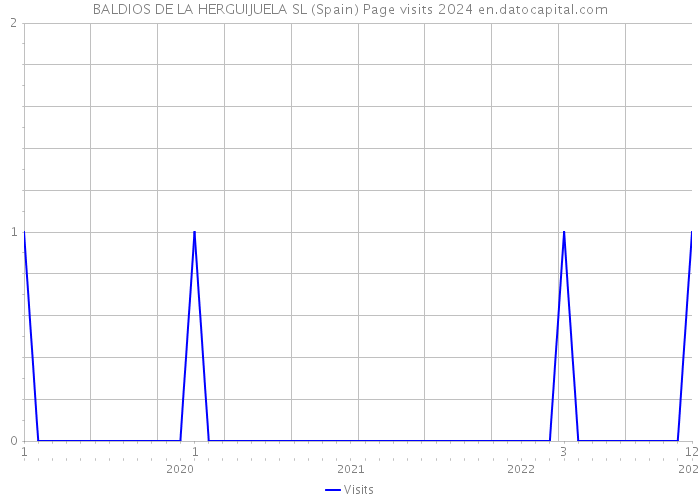 BALDIOS DE LA HERGUIJUELA SL (Spain) Page visits 2024 