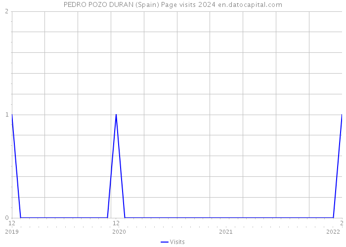 PEDRO POZO DURAN (Spain) Page visits 2024 