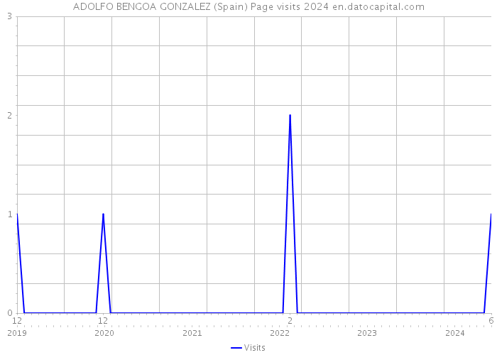 ADOLFO BENGOA GONZALEZ (Spain) Page visits 2024 
