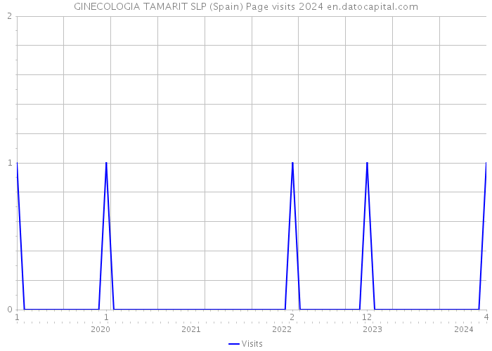 GINECOLOGIA TAMARIT SLP (Spain) Page visits 2024 