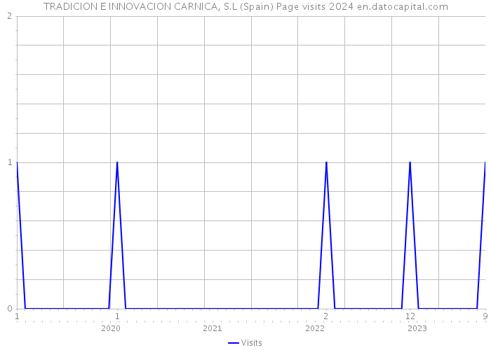 TRADICION E INNOVACION CARNICA, S.L (Spain) Page visits 2024 