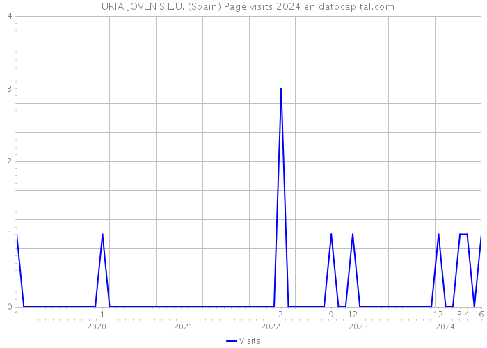  FURIA JOVEN S.L.U. (Spain) Page visits 2024 