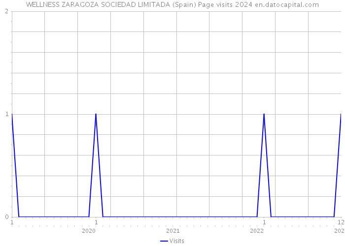 WELLNESS ZARAGOZA SOCIEDAD LIMITADA (Spain) Page visits 2024 