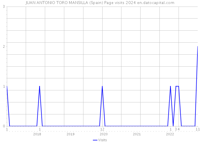 JUAN ANTONIO TORO MANSILLA (Spain) Page visits 2024 