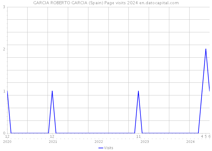GARCIA ROBERTO GARCIA (Spain) Page visits 2024 
