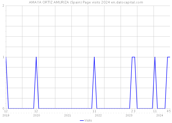 AMAYA ORTIZ AMURIZA (Spain) Page visits 2024 