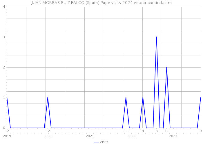 JUAN MORRAS RUIZ FALCO (Spain) Page visits 2024 