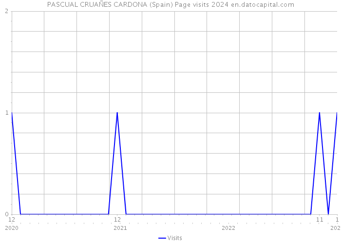 PASCUAL CRUAÑES CARDONA (Spain) Page visits 2024 