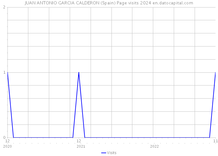 JUAN ANTONIO GARCIA CALDERON (Spain) Page visits 2024 