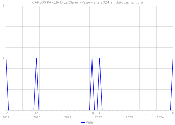 CARLOS PAREJA DIEZ (Spain) Page visits 2024 