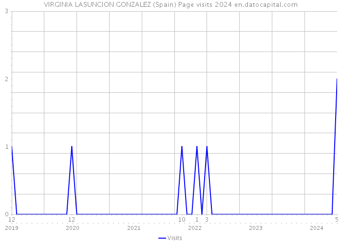 VIRGINIA LASUNCION GONZALEZ (Spain) Page visits 2024 