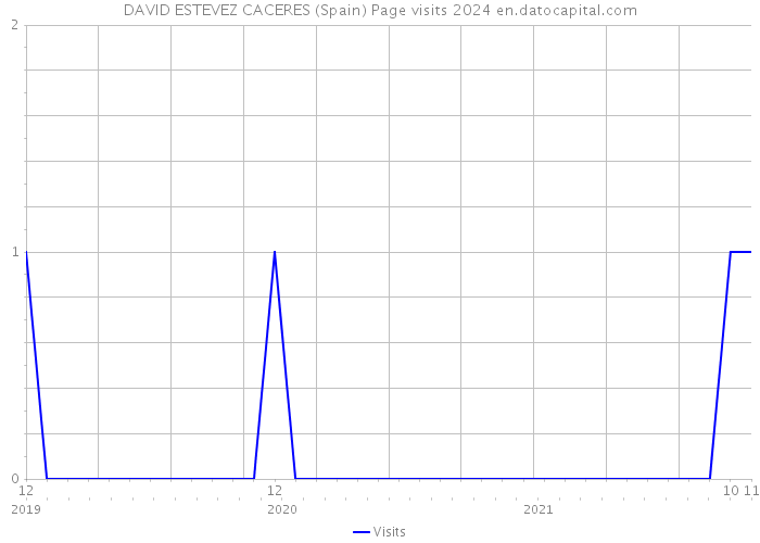 DAVID ESTEVEZ CACERES (Spain) Page visits 2024 