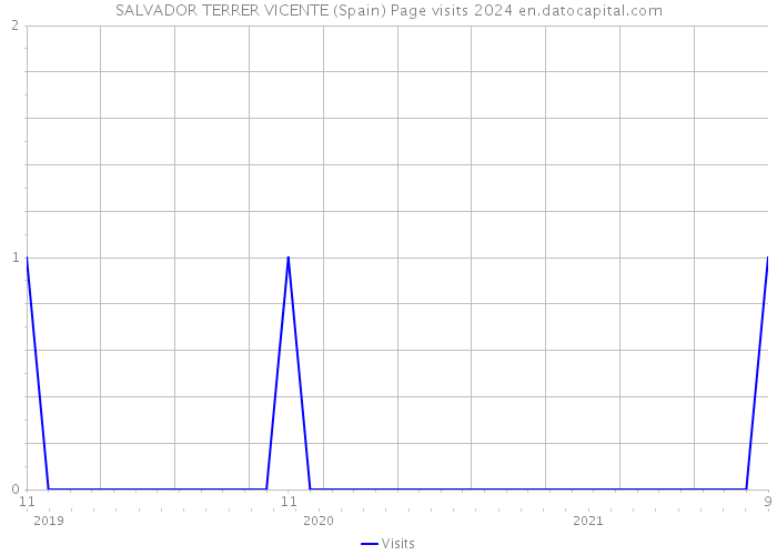 SALVADOR TERRER VICENTE (Spain) Page visits 2024 