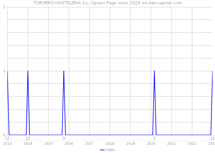 TORNERO HOSTELERIA S.L. (Spain) Page visits 2024 