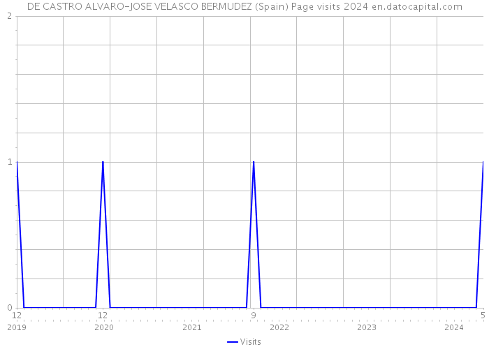 DE CASTRO ALVARO-JOSE VELASCO BERMUDEZ (Spain) Page visits 2024 