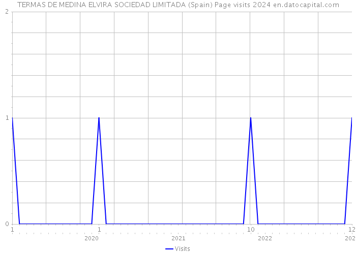 TERMAS DE MEDINA ELVIRA SOCIEDAD LIMITADA (Spain) Page visits 2024 