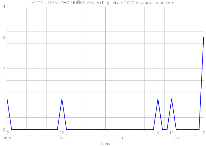 ANTONIO SANCHO MUÑOZ (Spain) Page visits 2024 