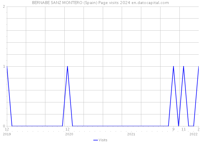 BERNABE SANZ MONTERO (Spain) Page visits 2024 