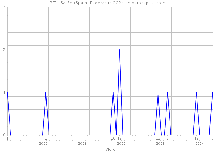 PITIUSA SA (Spain) Page visits 2024 