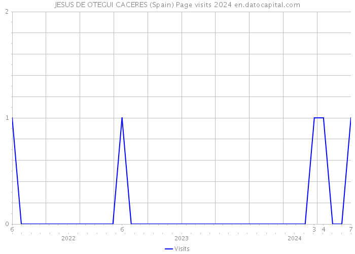 JESUS DE OTEGUI CACERES (Spain) Page visits 2024 