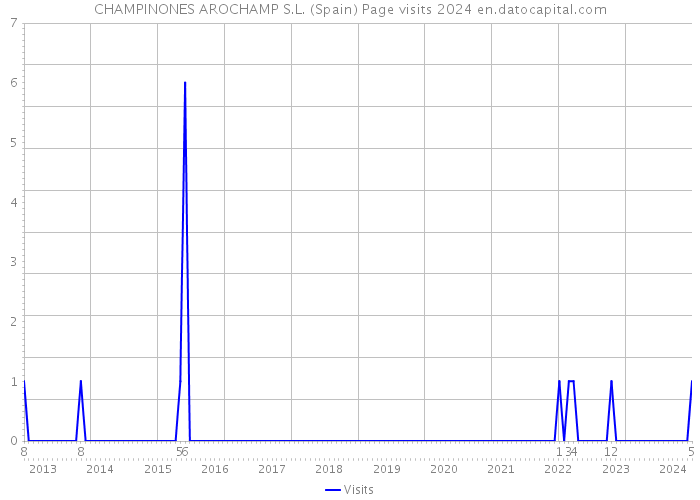 CHAMPINONES AROCHAMP S.L. (Spain) Page visits 2024 