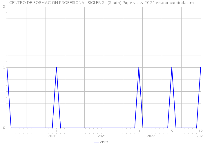 CENTRO DE FORMACION PROFESIONAL SIGLER SL (Spain) Page visits 2024 