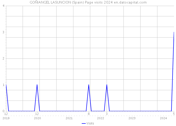 GOÑIANGEL LASUNCION (Spain) Page visits 2024 