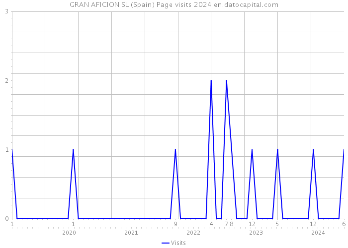 GRAN AFICION SL (Spain) Page visits 2024 