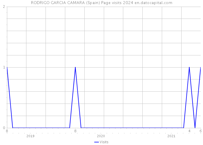 RODRIGO GARCIA CAMARA (Spain) Page visits 2024 