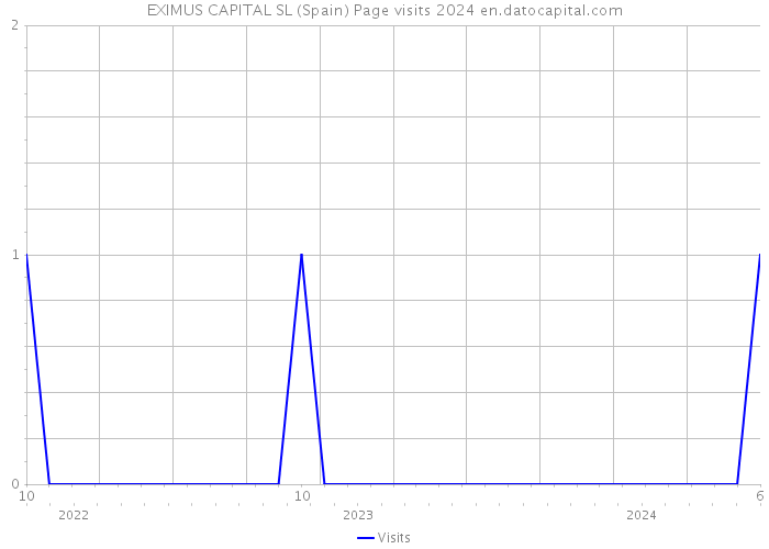 EXIMUS CAPITAL SL (Spain) Page visits 2024 