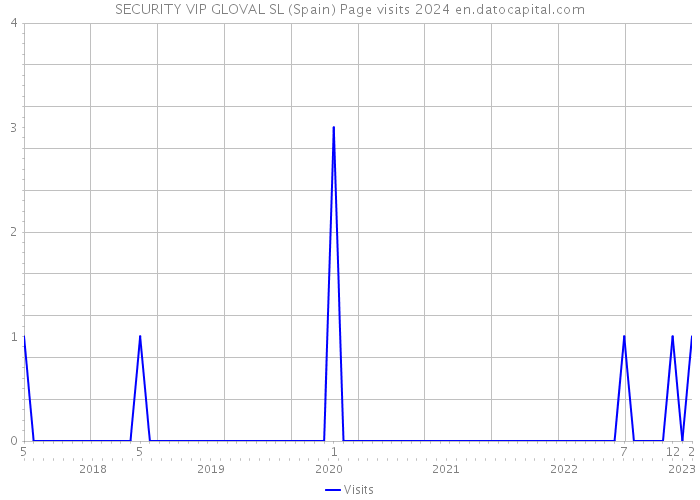 SECURITY VIP GLOVAL SL (Spain) Page visits 2024 