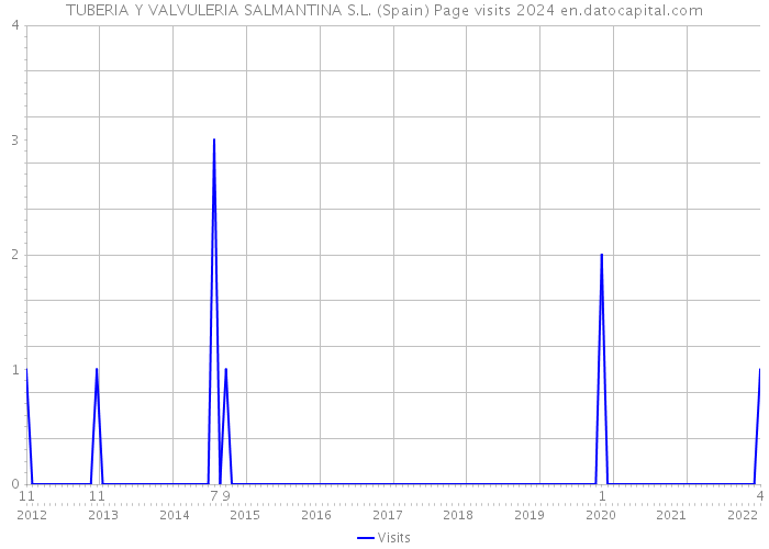 TUBERIA Y VALVULERIA SALMANTINA S.L. (Spain) Page visits 2024 