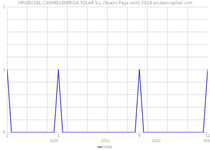 VIRGEN DEL CARMEN ENERGIA SOLAR S.L. (Spain) Page visits 2024 